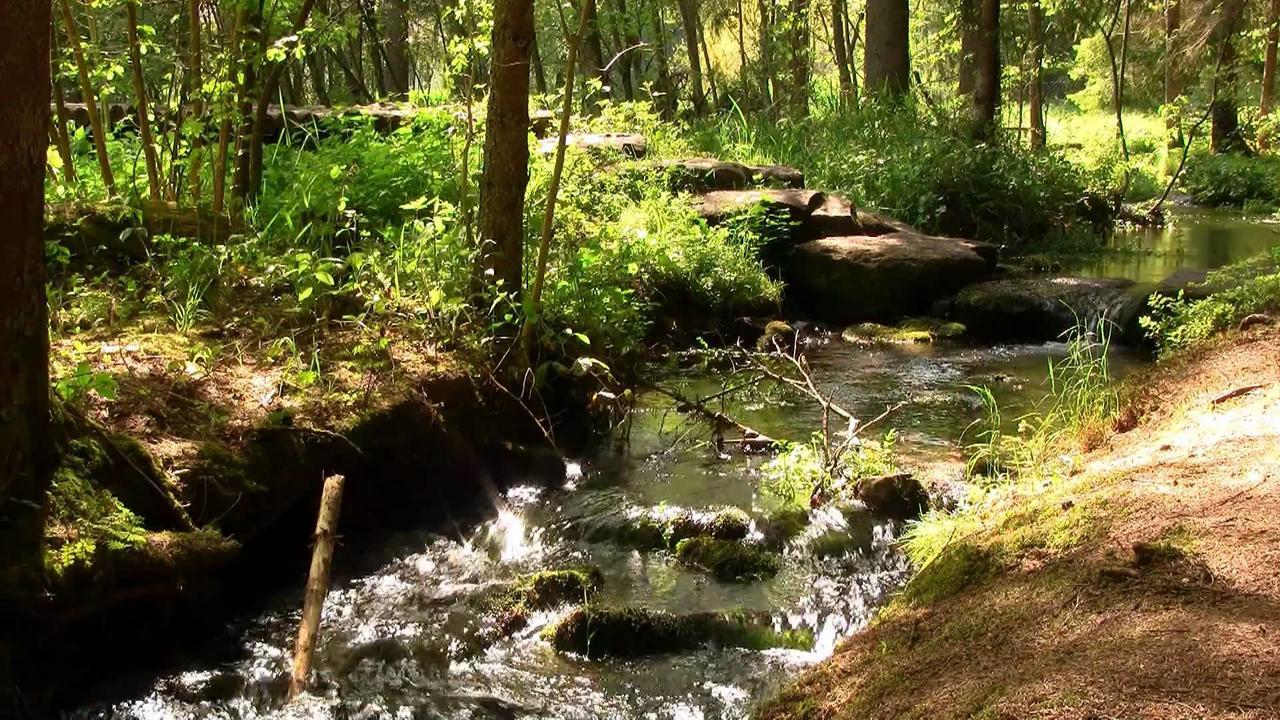 ואלדאכטל Hotel Waldsee מראה חיצוני תמונה